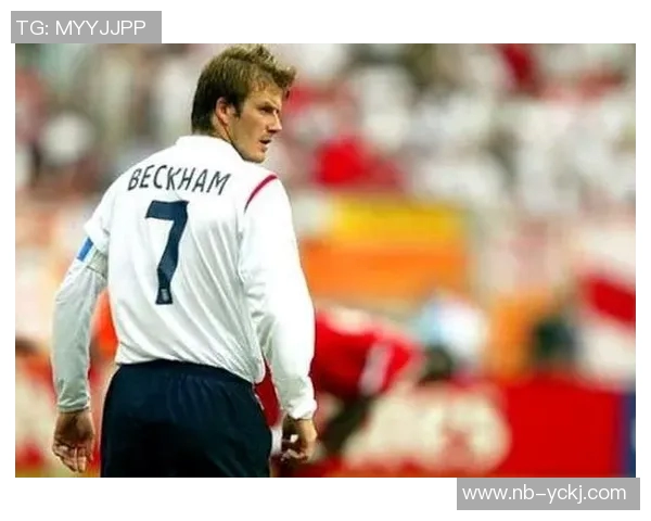 纵横绿茵闪耀星辉全景记录世界顶级足球巨星风云